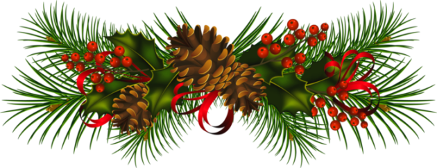 Christmas_Pine_Cones_PNG_Clipart